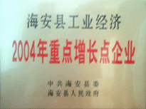 重點增長點企業